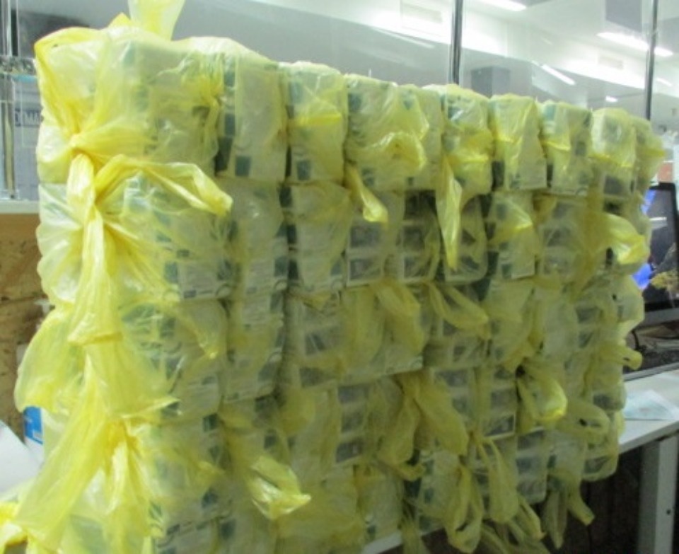 55 килограммов лекарств изъяли псковские таможенники у шофёра из Латвии 