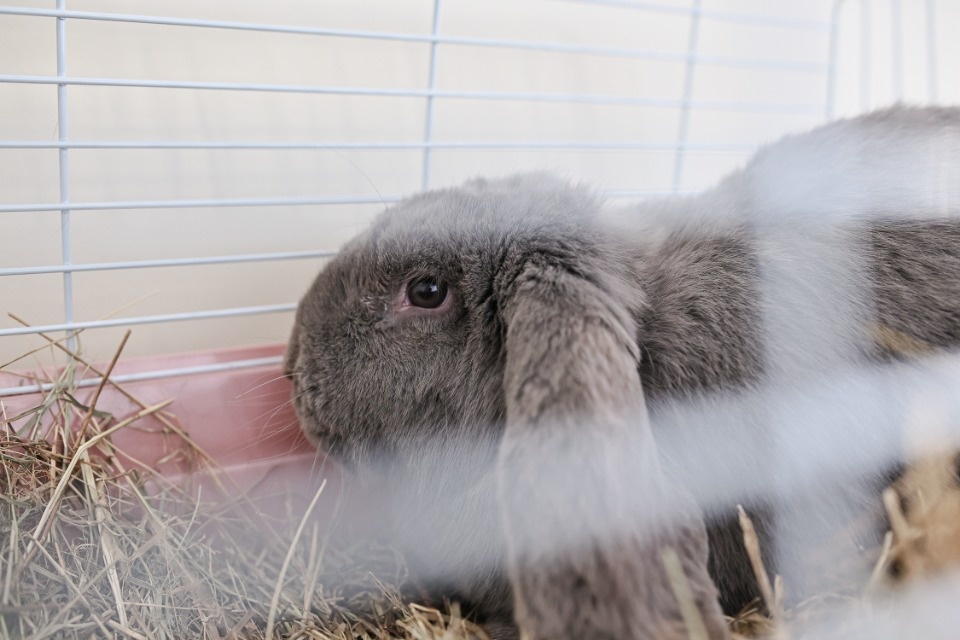 Библиотека имени Василёва открылась в Пскове Библиотека имени Василёва открылась в Пскове