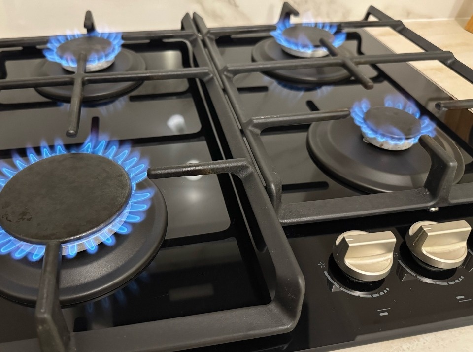 Псковские газовики усовершенствовали знания  в техобслуживании котлов 