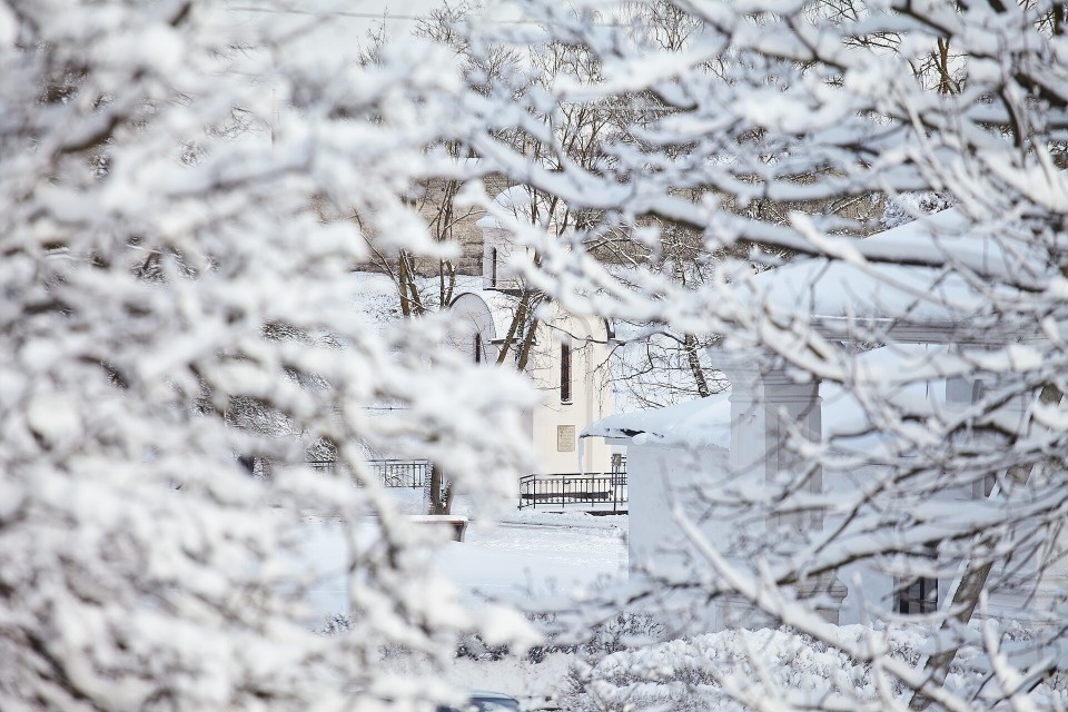 До +5 градусов ожидается в Псковской области 25 февраля До +5 градусов ожидается в Псковской области 25 февраля