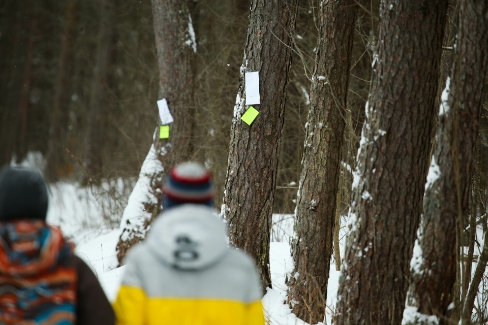 К 80-летию Победы приурочат восемь соревнований по спортивному ориентированию в Псковской области