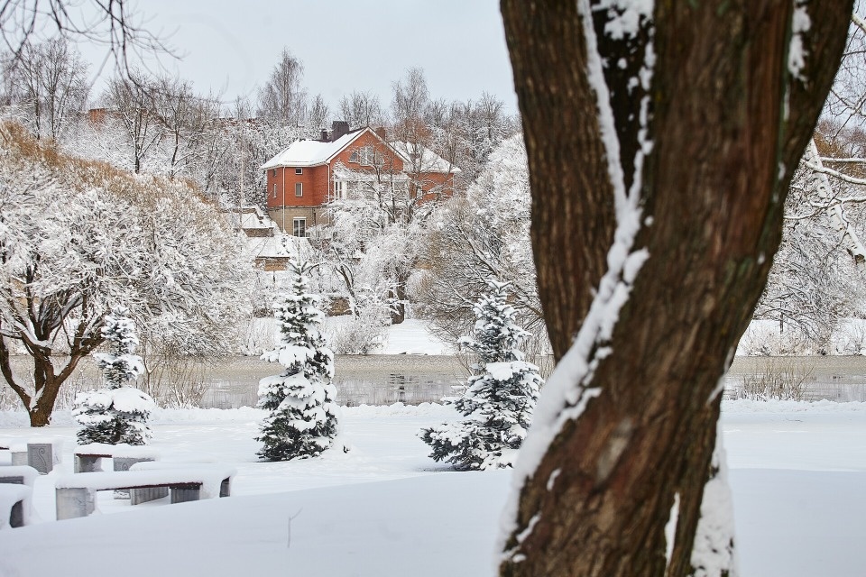 До +7 градусов и без осадков ожидается в Псковской области 26 февраля