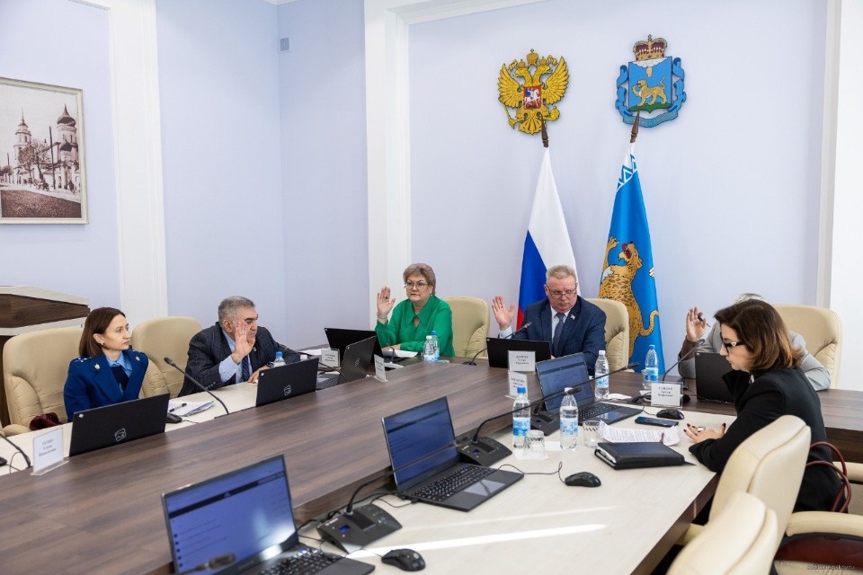 Размеры штрафов за нарушение правил торговли «энергетиками» обсудили псковские депутаты