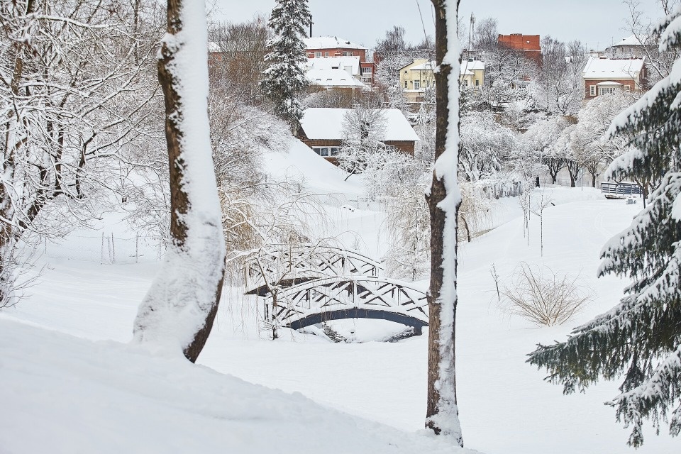 До +5 градусов прогреется воздух в Псковской области 27 февраля До +5 градусов прогреется воздух в Псковской области 27 февраля