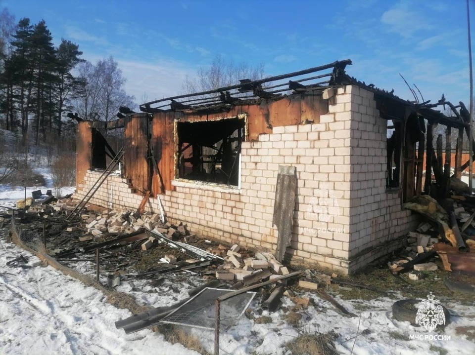 Два газовых баллона вынесли пожарные из горящего дома в Пушкиногорском районе