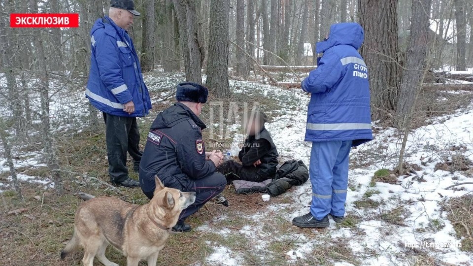 Туристы спасли заблудившуюся в псковском лесу женщину