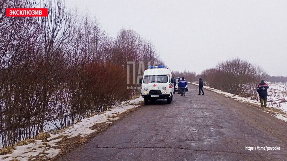 Тело мужчины нашли у обочины дороги в Псковской области