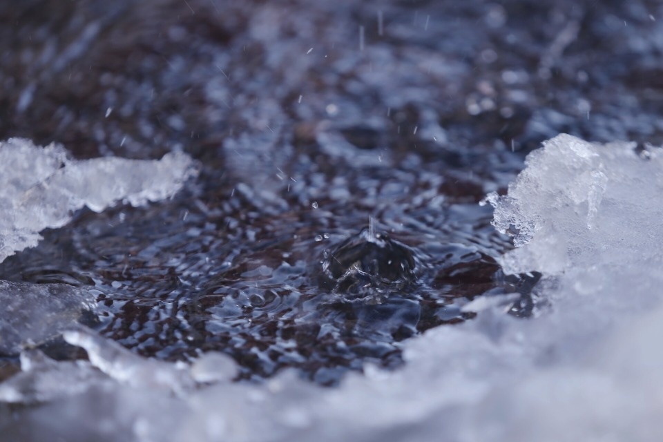 До +6 градусов ожидается в Псковской области 4 марта До +6 градусов ожидается в Псковской области 4 марта