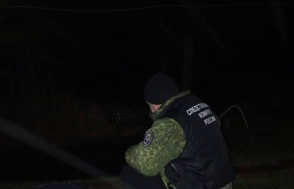 Тело восьмилетней девочки нашли в пруду в Великолукском районе 