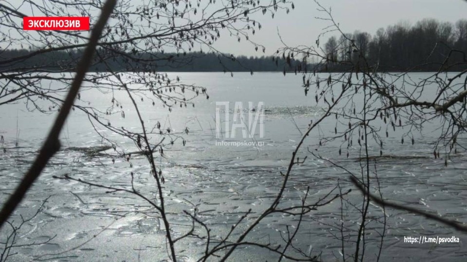 Тела двух утонувших рыбаков обнаружили в озере Але в Бежаницком районе Тела двух утонувших рыбаков обнаружили в озере Але в Бежаницком районе