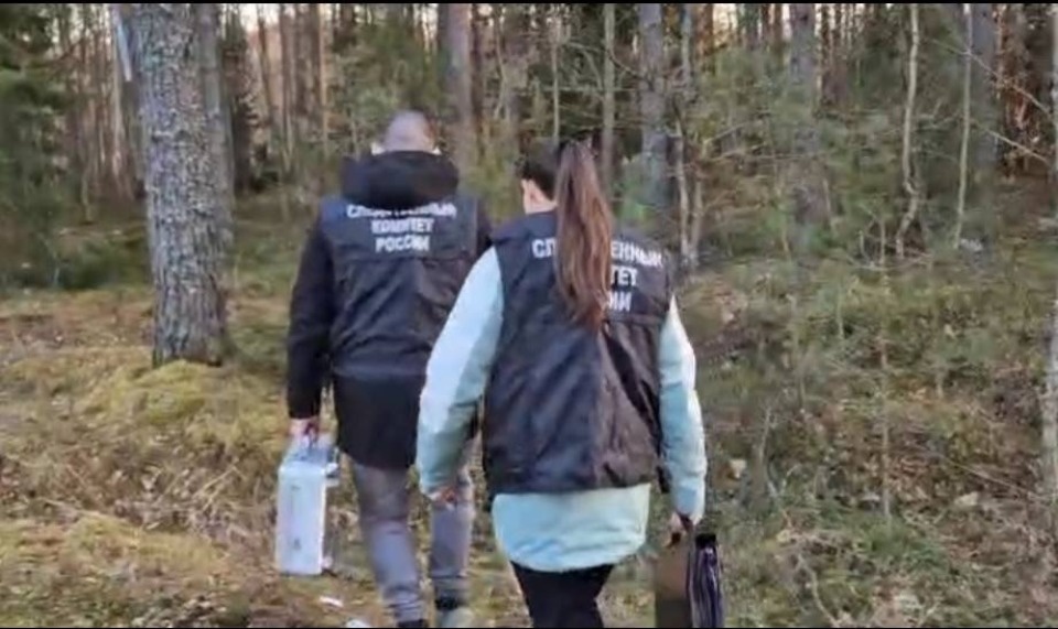 Тело новорожденного нашли в женской сумке в лесу в Себежском районе Тело новорожденного нашли в женской сумке в лесу в Себежском районе