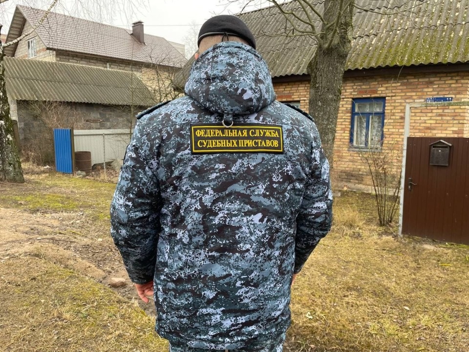 Пскович пытался спрятаться от судебных приставов на чердаке дома Пскович пытался спрятаться от судебных приставов на чердаке дома