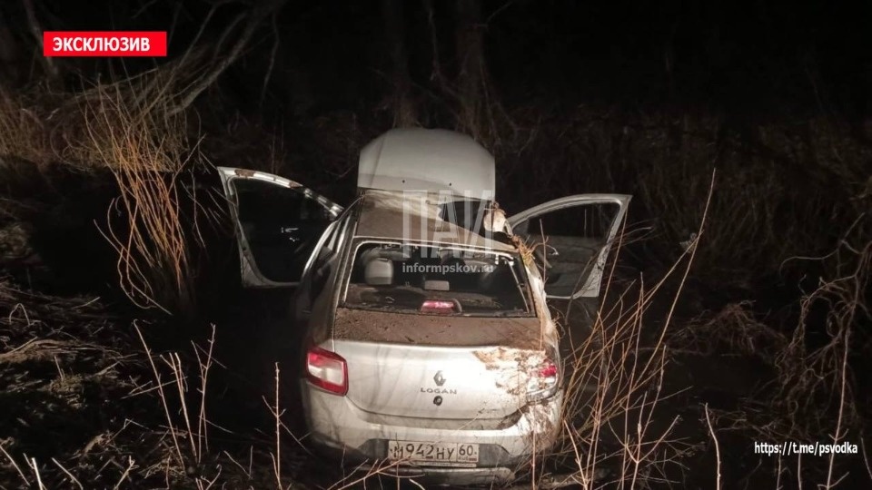 Нетрезвая пара на иномарке вылетела в кювет в Новосокольническом районе