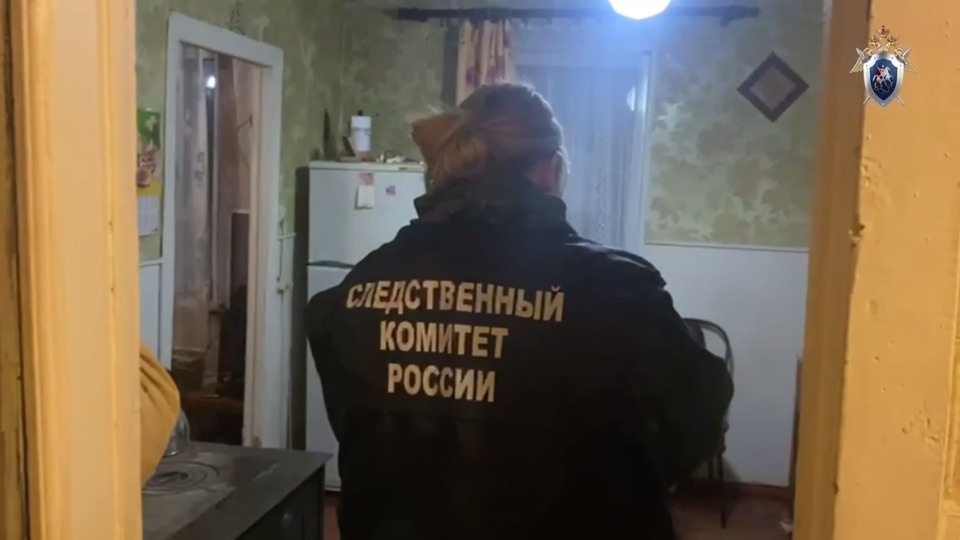 В Палкинском районе мужчину обвиняют в убийстве собутыльника