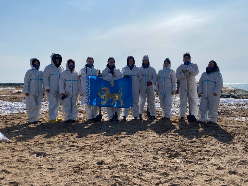 Псковские волонтеры отмыли более 300 птиц от мазута в Анапе