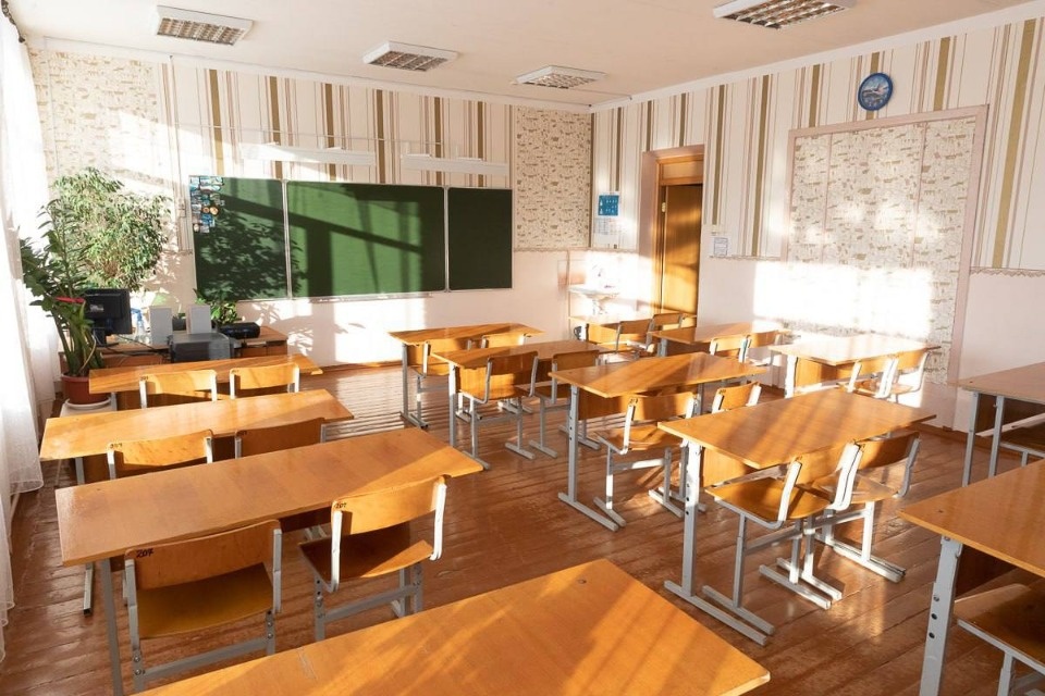 Великолукские школы и учреждения допоборазования переводят на дистанционку до 23 марта