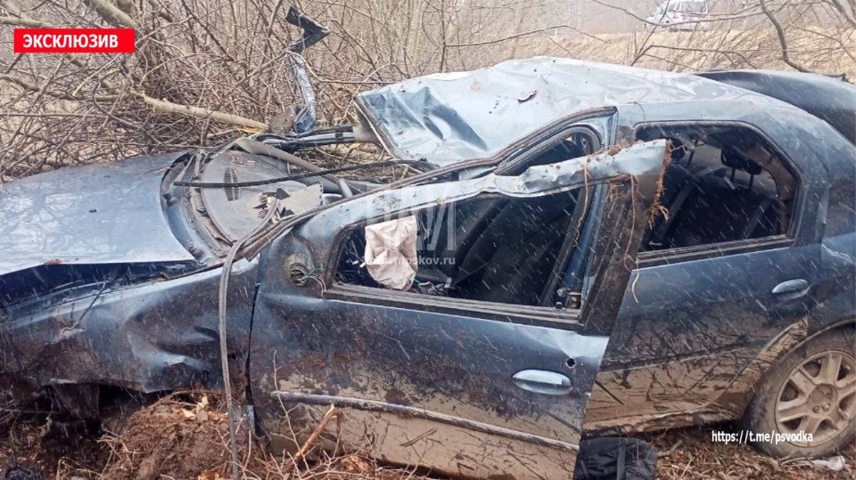 Два человека и свинья погибли в результате ДТП в Локнянском районе