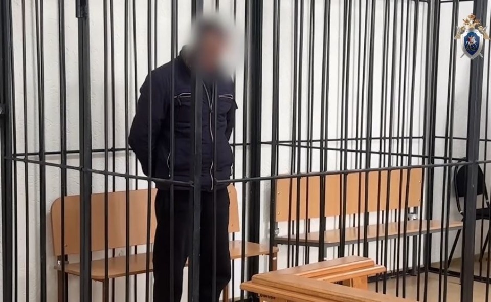 Мужчина выстрелил в голову пенсионера строительным степлером в Опочецком районе