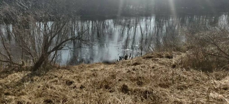 Тело мужчины обнаружили в реке Шелони в Порховском районе