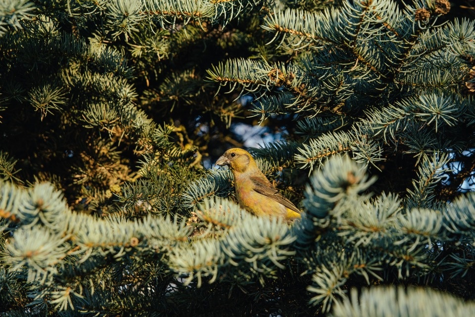 До +10 градусов ожидается в Псковской области 27 марта 
