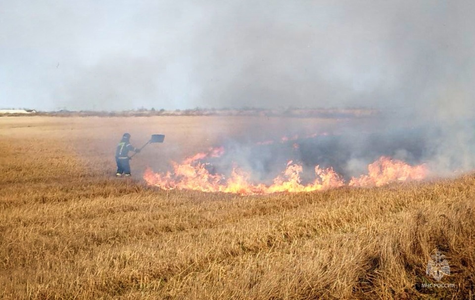 Пожарные ликвидировали за сутки два ландшафтных пожара Пожарные ликвидировали за сутки два ландшафтных пожара