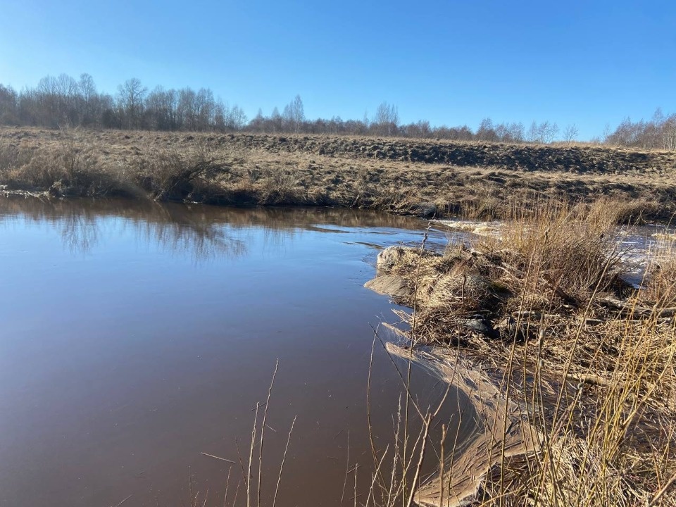 Тело мужчины обнаружили в акватории реки Кухва в Островском районе Тело мужчины обнаружили в акватории реки Кухва в Островском районе