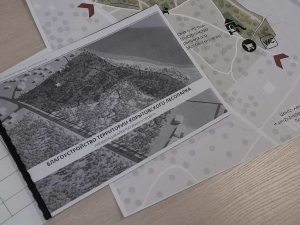 Проект благоустройства Корытовского лесопарка в Пскове отправят на всероссийский конкурс