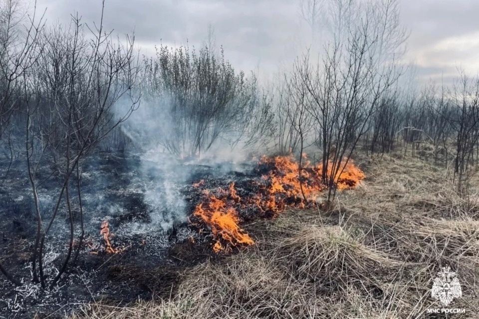 Еще 21 ландшафтный пожар ликвидировали в Псковской области