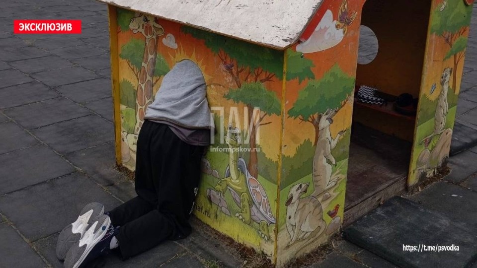 Девочка застряла в игровом домике в Пскове Девочка застряла в игровом домике в Пскове