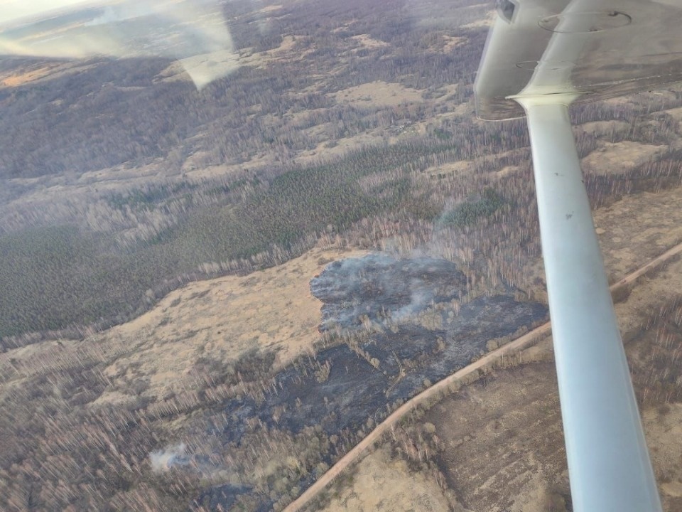 В Псковской области наблюдается средний класс пожарной опасности