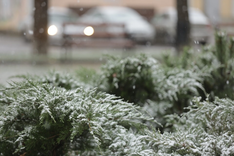 До 5 градусов тепла ожидается в Псковской области 10 апреля