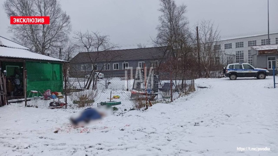 Тело мужчины с ножевым ранением обнаружили в Дно  