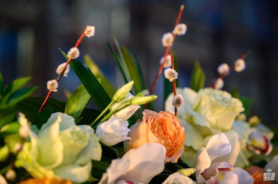 Михаил Ведерников поздравил псковичей с Вербным Воскресением