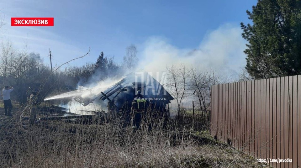 Собака погибла на пожаре в бане в Порховском районе Собака погибла на пожаре в бане в Порховском районе