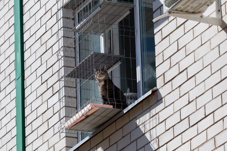 Небольшой дождь прогнозируется в Псковской области 16 апреля Небольшой дождь прогнозируется в Псковской области 16 апреля