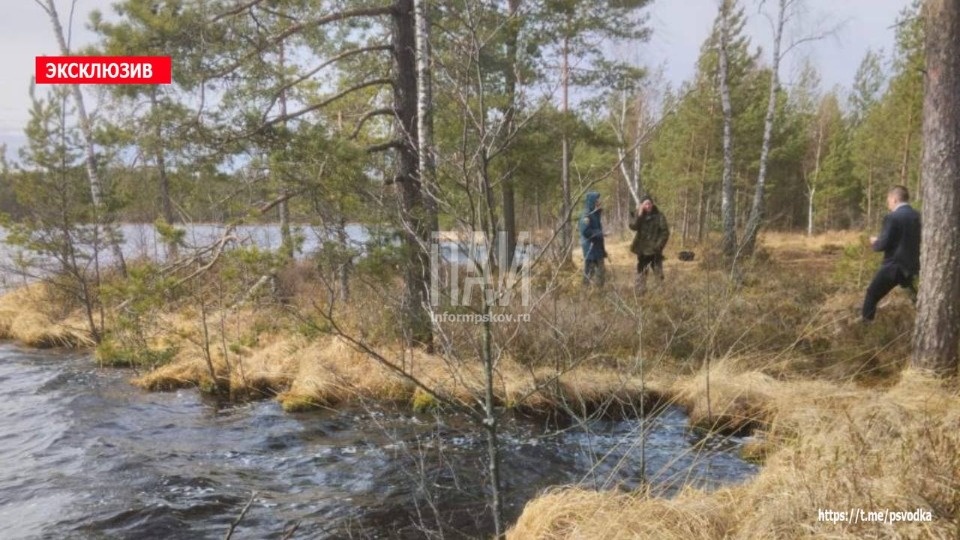 Тело пропавшего рыбака обнаружили в озере в Красногородском районе