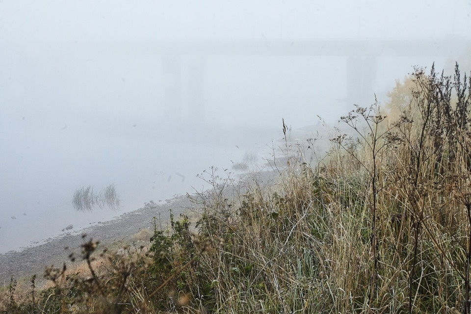 До 27 градусов тепла ожидается в Псковской области 18 апреля