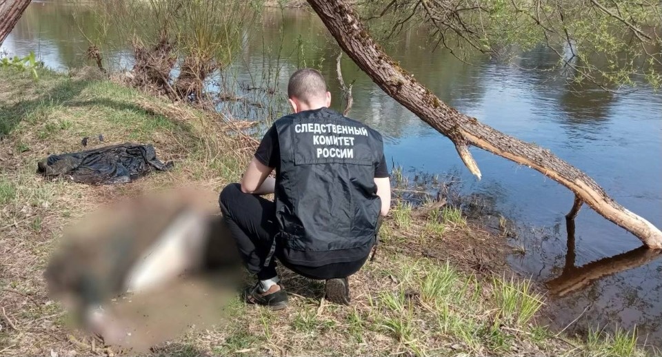 Проверку по факту гибели мужчины в реке Великой проводят в Опочецком районе Проверку по факту гибели мужчины в реке Великой проводят в Опочецком районе