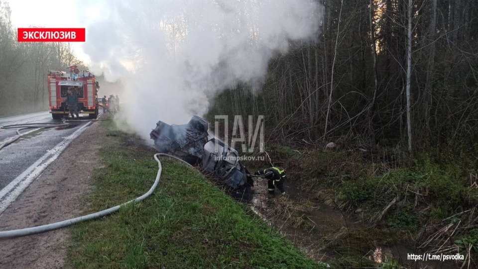 Пьяный водитель вылетел в кювет и едва не сгорел в Дновском районе Пьяный водитель вылетел в кювет и едва не сгорел в Дновском районе