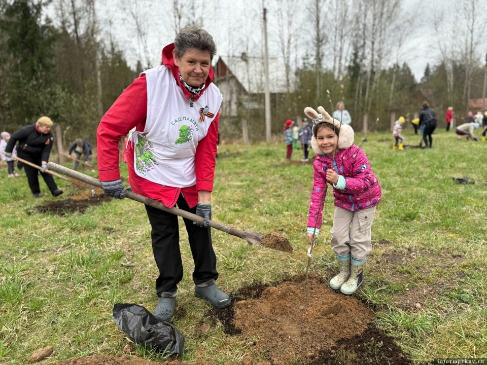 25 яблонь высадили в честь 80-летия Победы в Плюсском округе