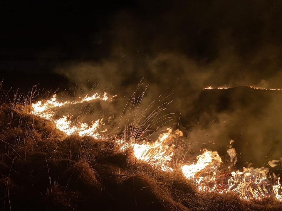 Три пожара произошло за минувшие сутки в Псковской области 