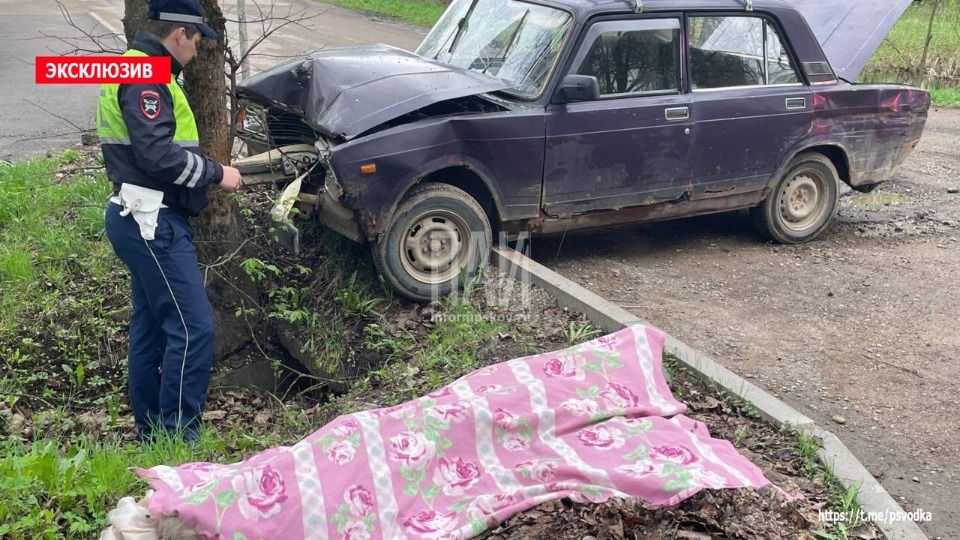 Водитель погиб в результате ДТП в Опочецком районе Водитель погиб в результате ДТП в Опочецком районе