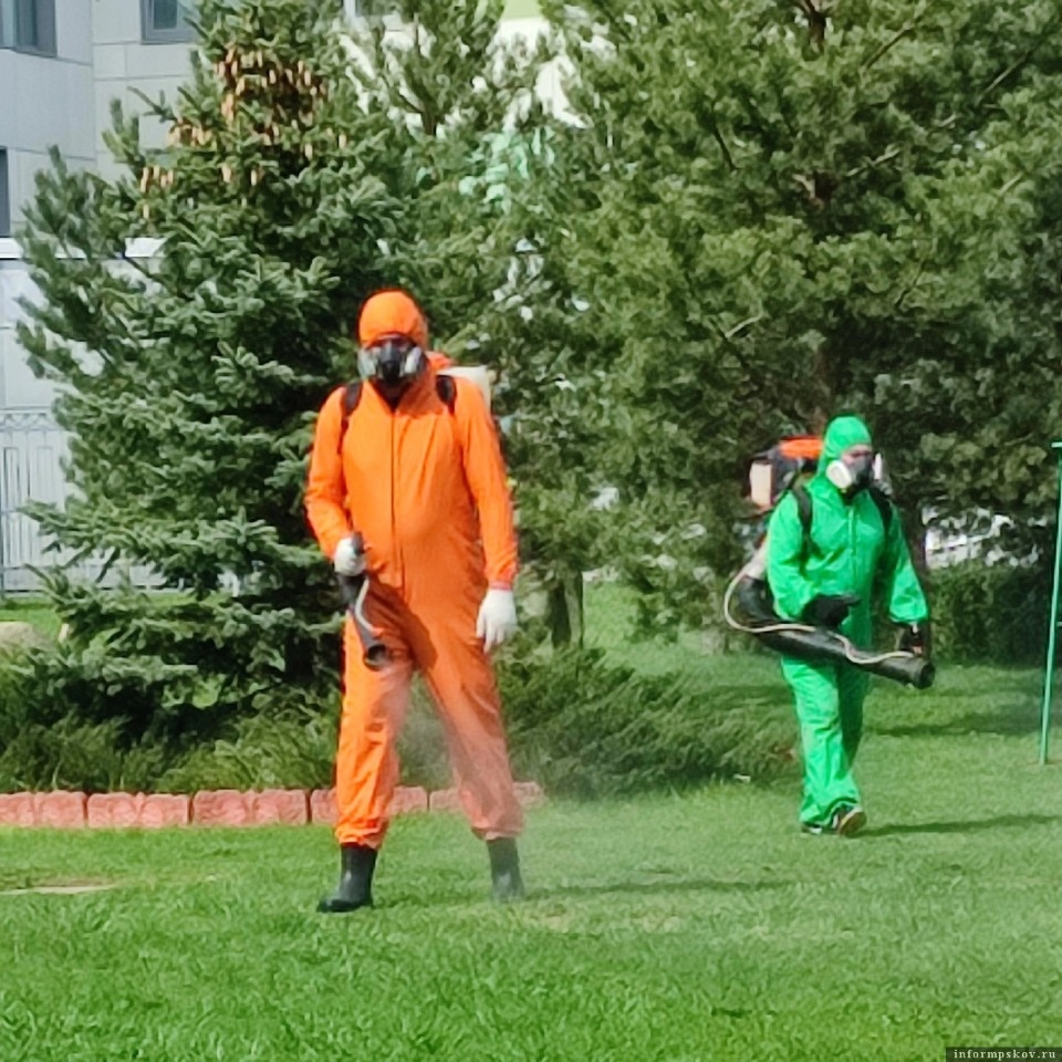От клещей обработали территорию Псковской детской областной больницы 