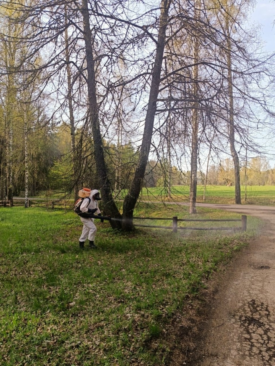 В Псковской области продолжается обработка территорий от клещей В Псковской области продолжается обработка территорий от клещей
