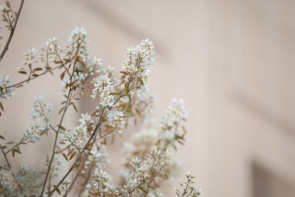 До +16 градусов прогреется воздух в Псковской области 28 апреля