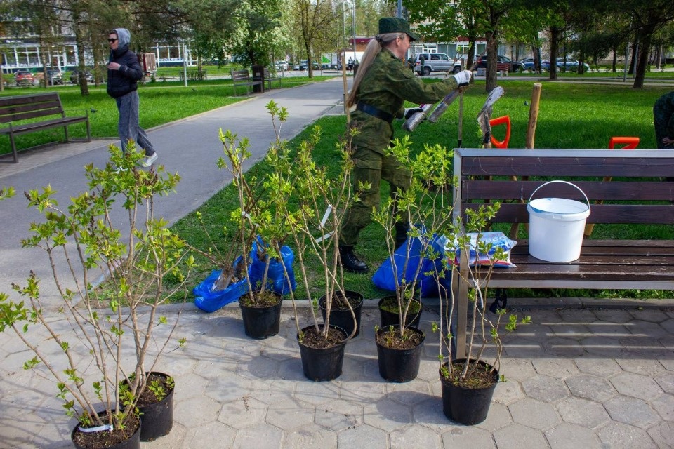 Инициативные группы высадили саженцы в двух парках Пскова