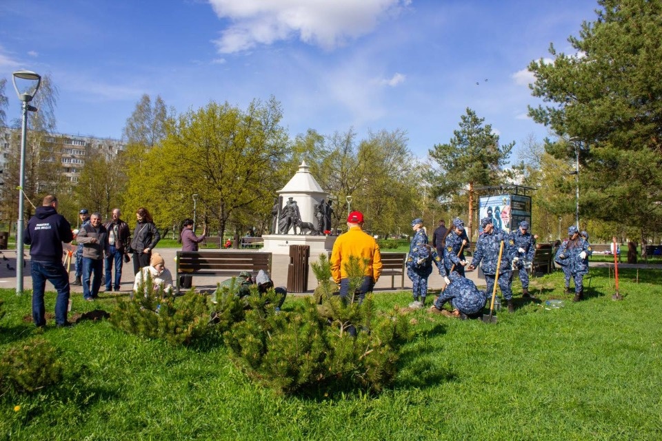 Инициативные группы высадили саженцы в двух парках Пскова