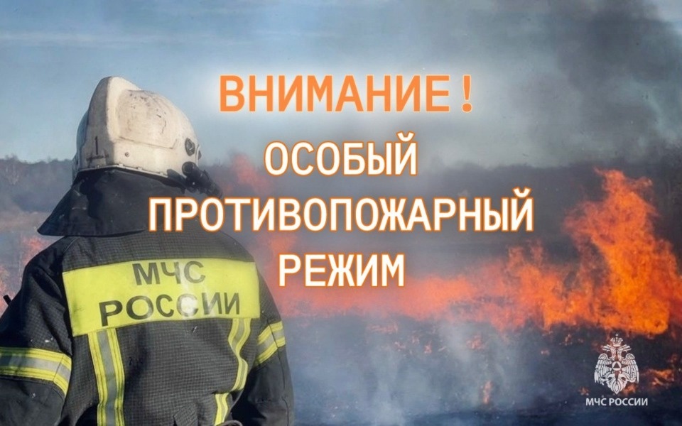 Особый противопожарный режим продолжает сохраняться в Бежаницком районе