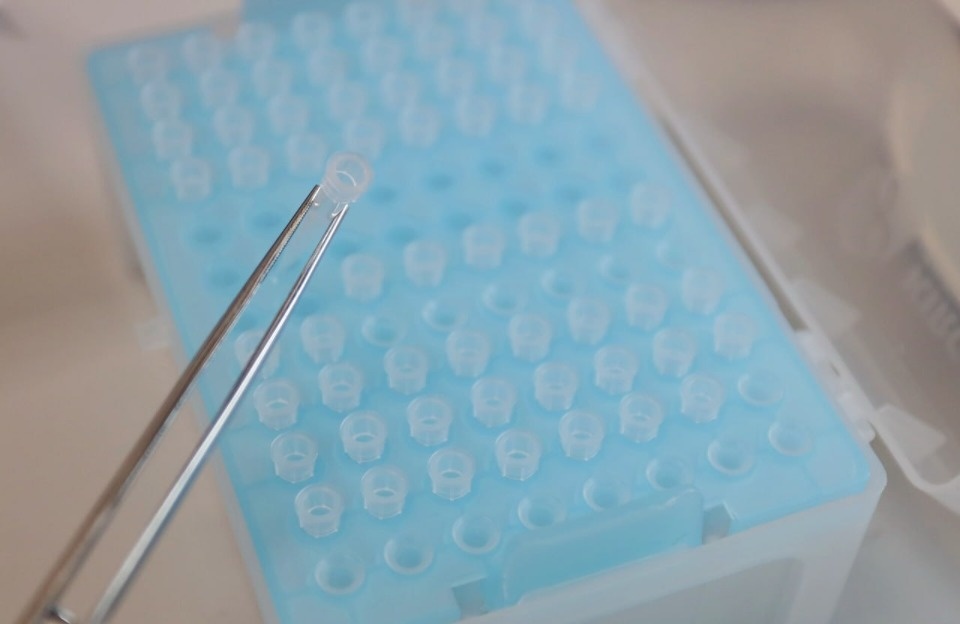 Инфекционист рассказал, возможно ли заразиться сибирской язвой в Псковской области Инфекционист рассказал, возможно ли заразиться сибирской язвой в Псковской области