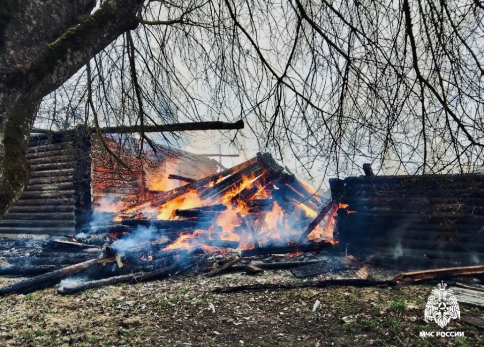 26 человек погибли на пожарах в Псковской области за четыре месяца